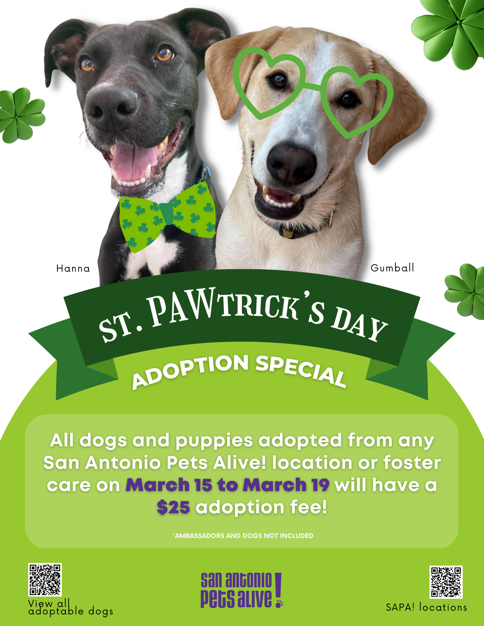 St. PAWtrick’s Day Adoption Special - gallery image